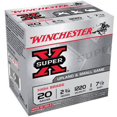 winchester 20 Gauge – 20rd